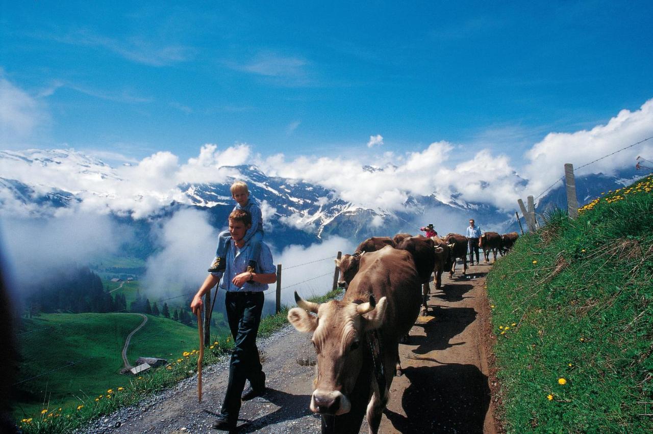 H+ Hotel & Spa Engelberg Cameră foto